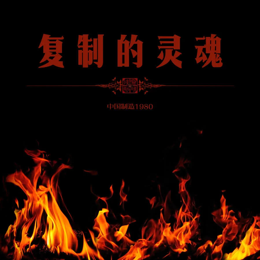 复制的灵魂 cover