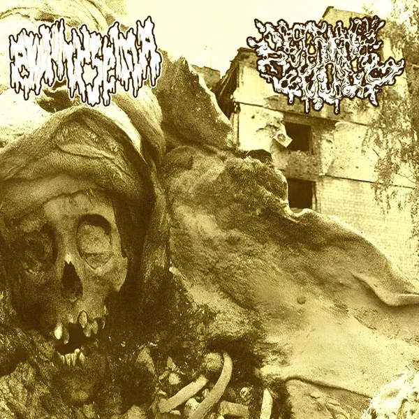 Emphysema / Disgurgitate cover