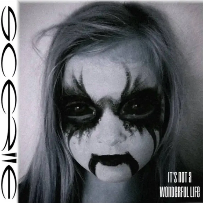 It's Not a Wonderful Life cover