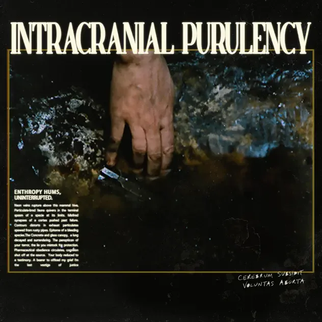 Enthropy Hums, Uninterrupted. cover