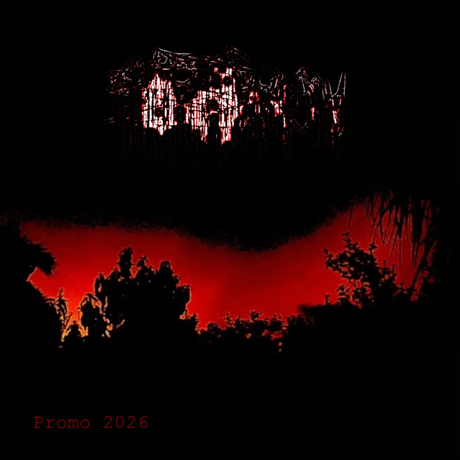Promo 2026 cover
