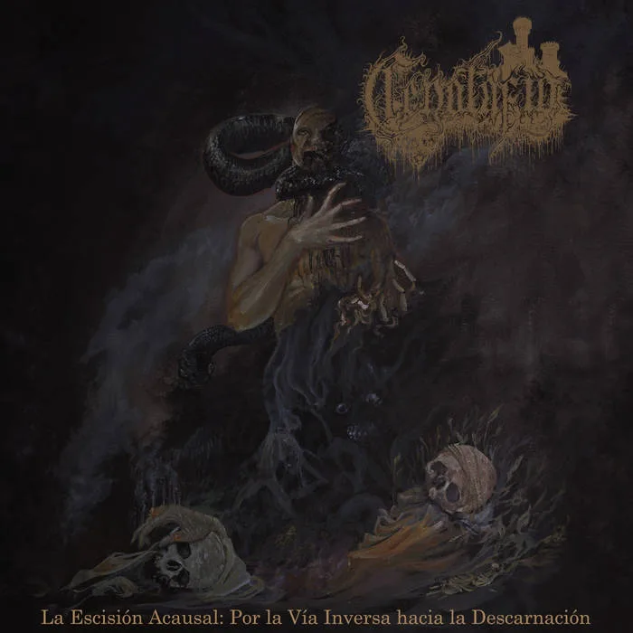 La escisión acausal: Por la vía inversa hacia la descarnación cover