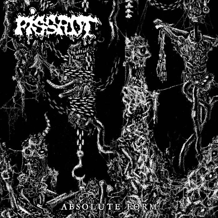Absolute Form cover