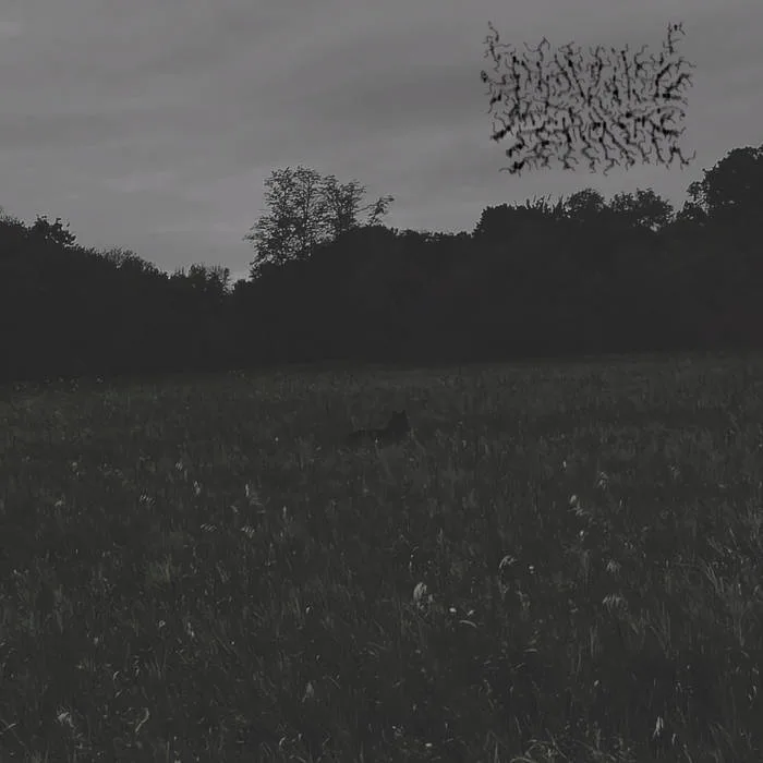 Instrumental Demo cover