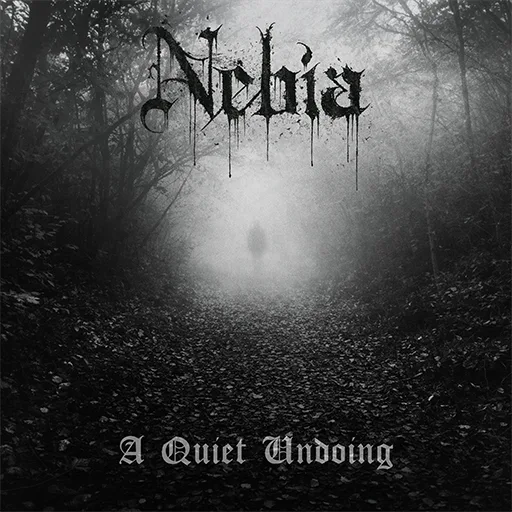 A Quiet Undoing cover