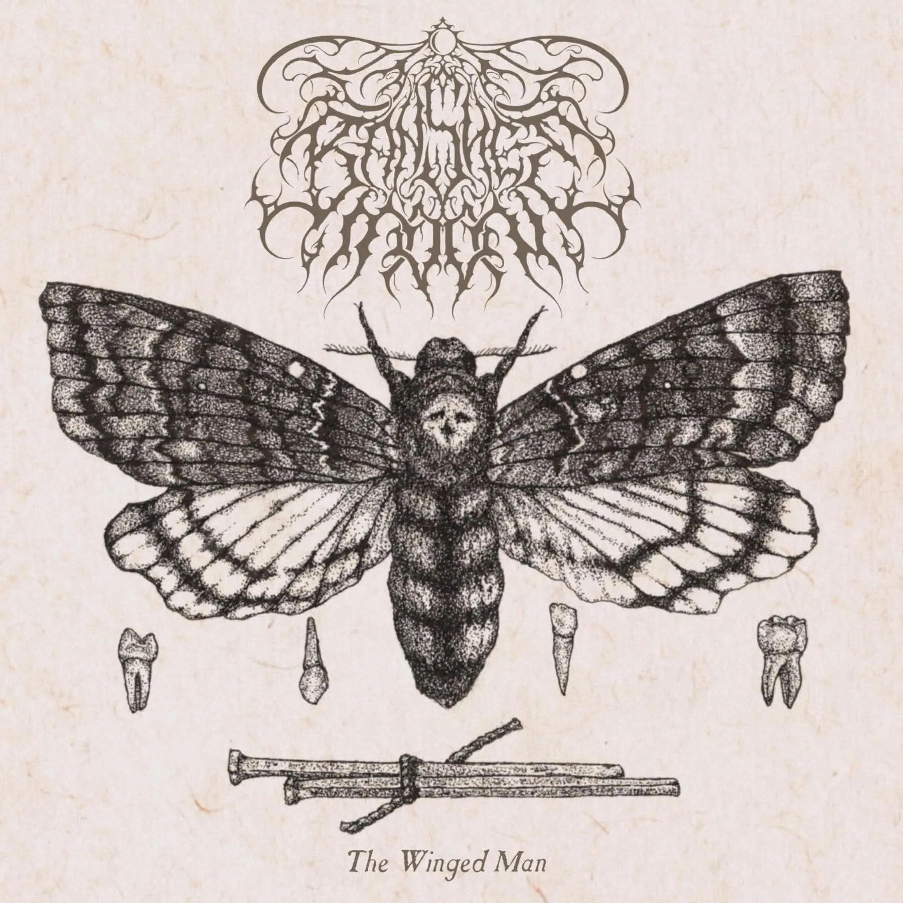 The Winged Man cover