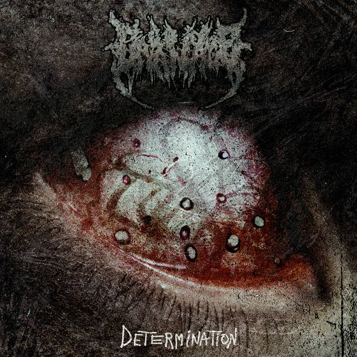 Determination cover