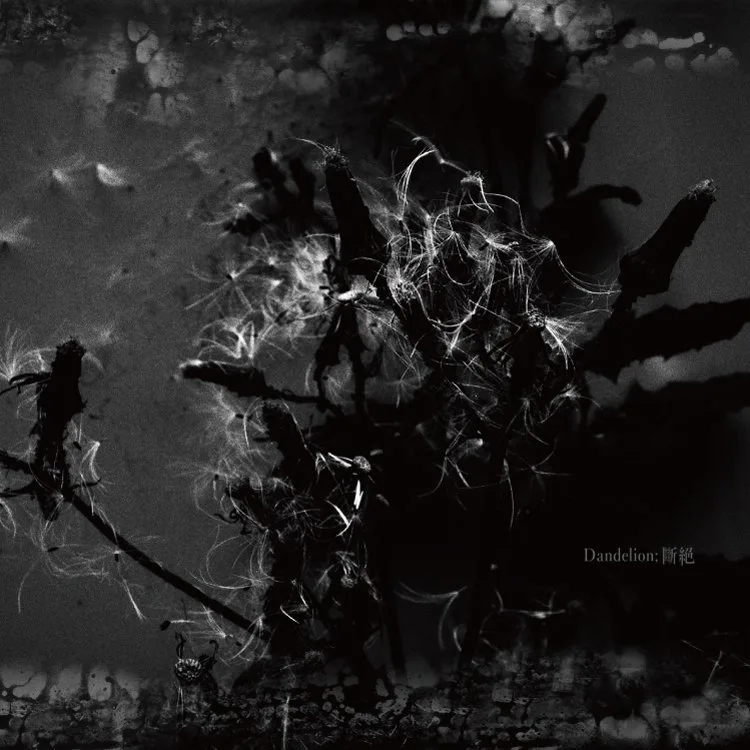 Dandelion; 斷絕 cover