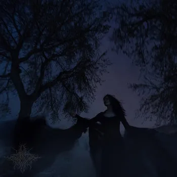 В чёрны омуты cover