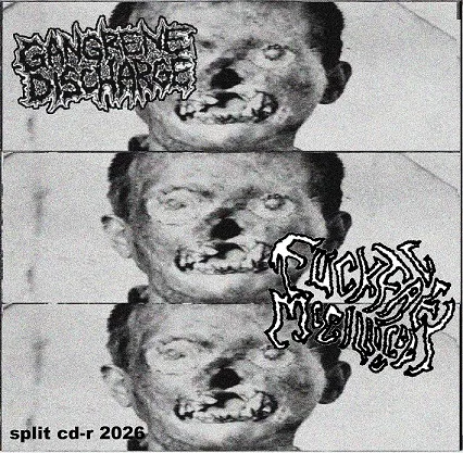 Split CD-R 2026 cover