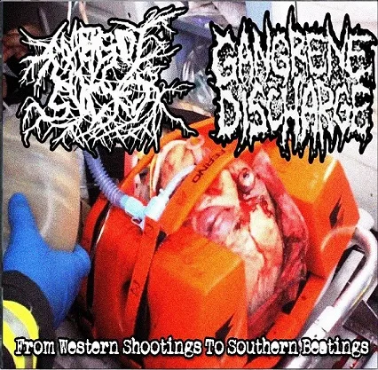 From Western Shootings to Southern Beatings cover