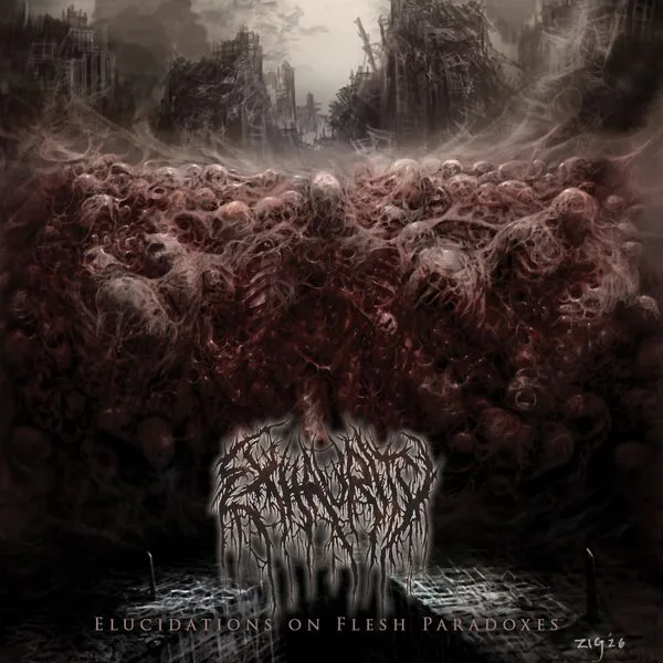 Elucidations on Flesh Paradoxes cover