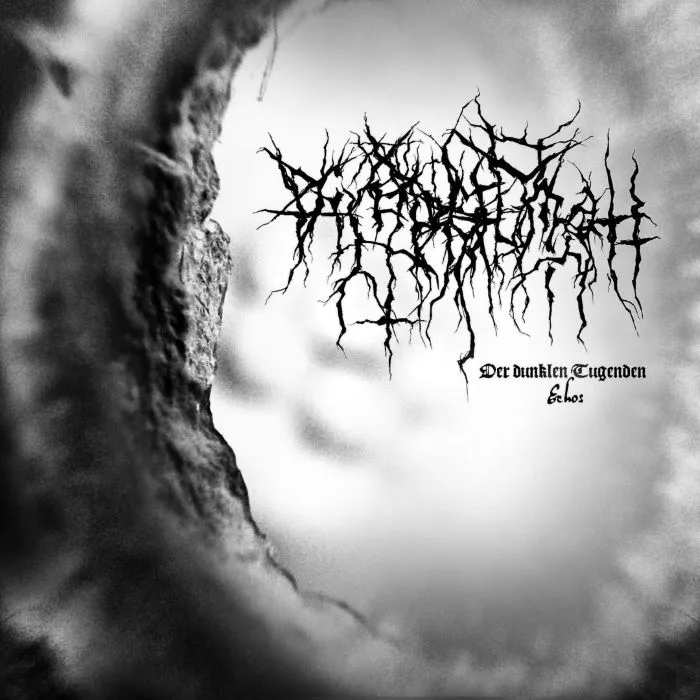 Der dunklen Tugenden. Echos cover