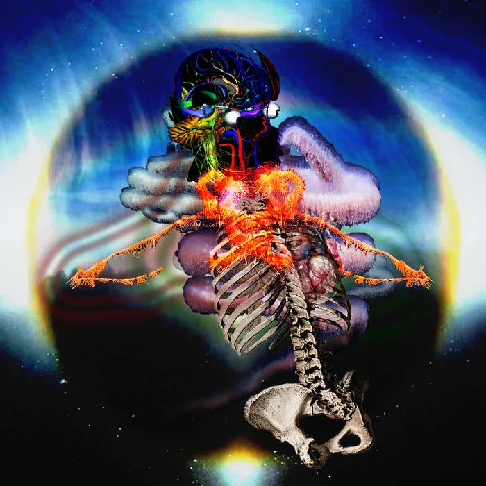 Siphonophoran Life Insurgency cover