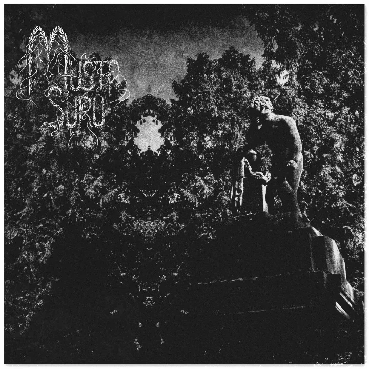 Viimeinen viilto cover