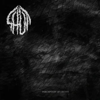 Perception Of Cecity cover