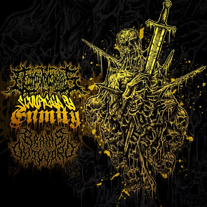 Scourged by Enmity cover