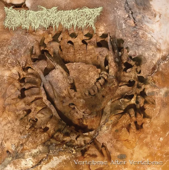 Vertebrae After Vertebrae cover