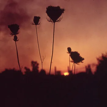 A Virulent Steam cover