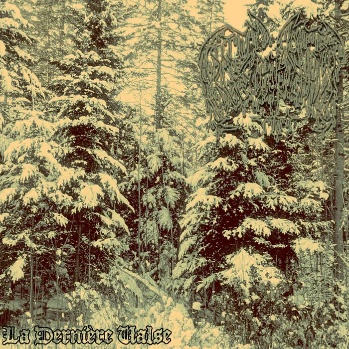 La dernière valse cover