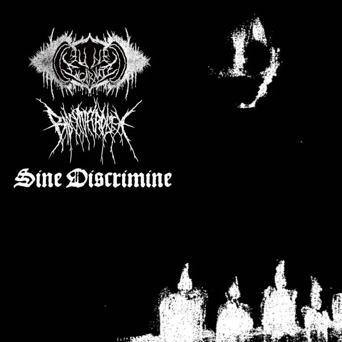 Sine Discrimine cover