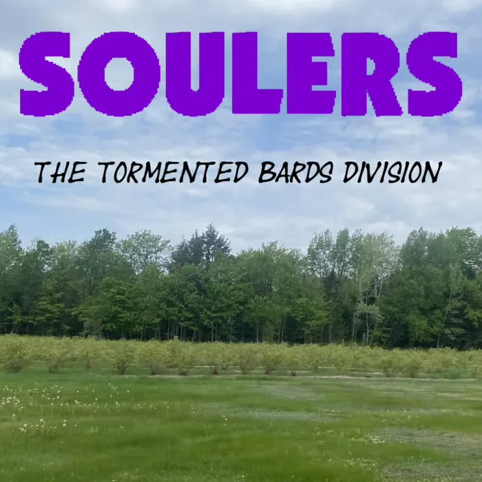 The Tormented Bards Division cover