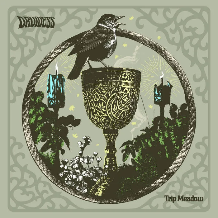 Trip Meadow cover