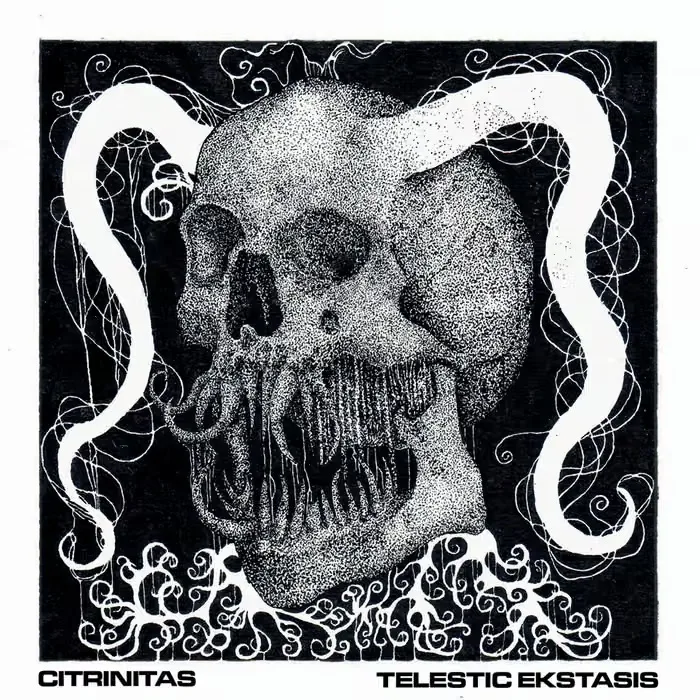 Telestic Ekstasis cover