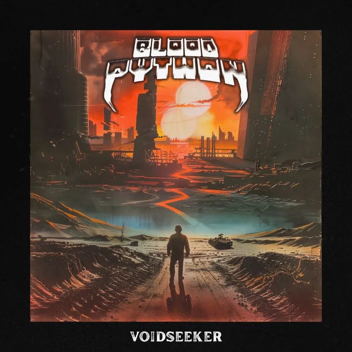 Voidseeker cover