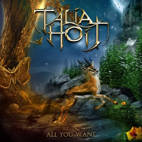 All You Want cover