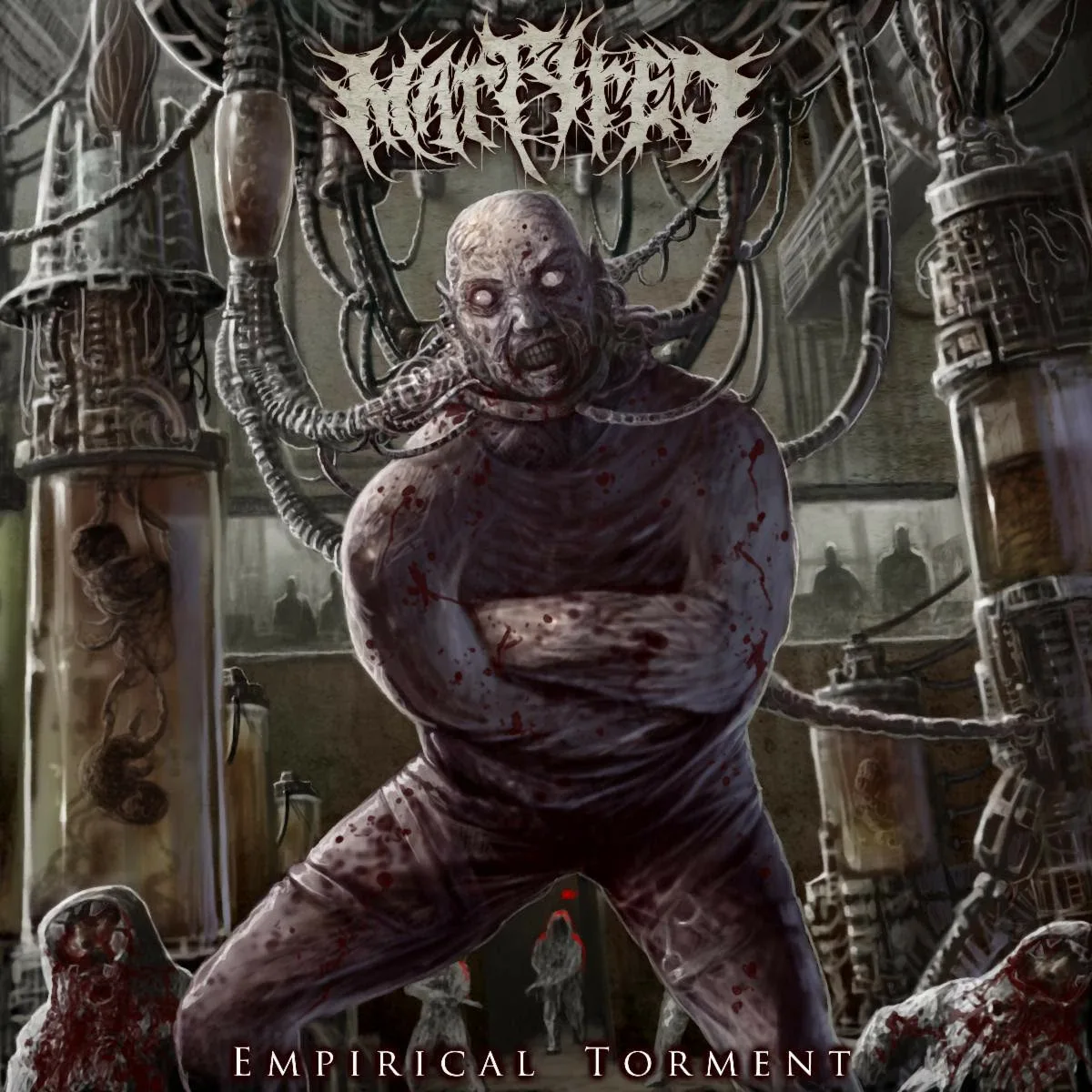 Empirical Torment cover