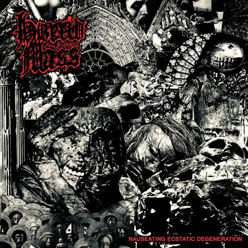Nauseating Ecstatic Degeneration cover