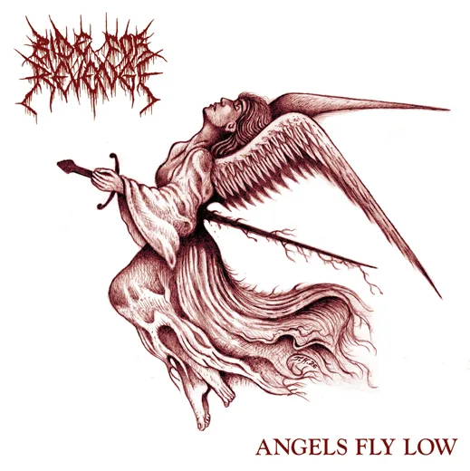 Angels Fly Low cover