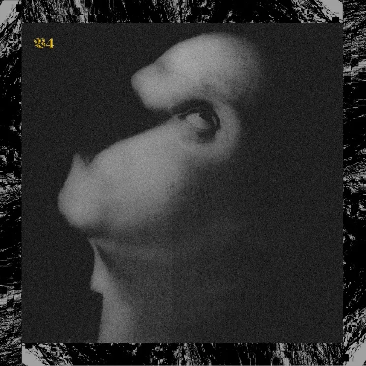 4: ⁠Assets For Psychedelic Warfare cover