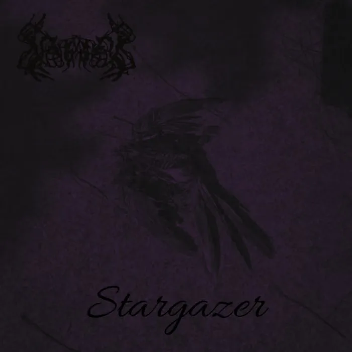 Stargazer cover