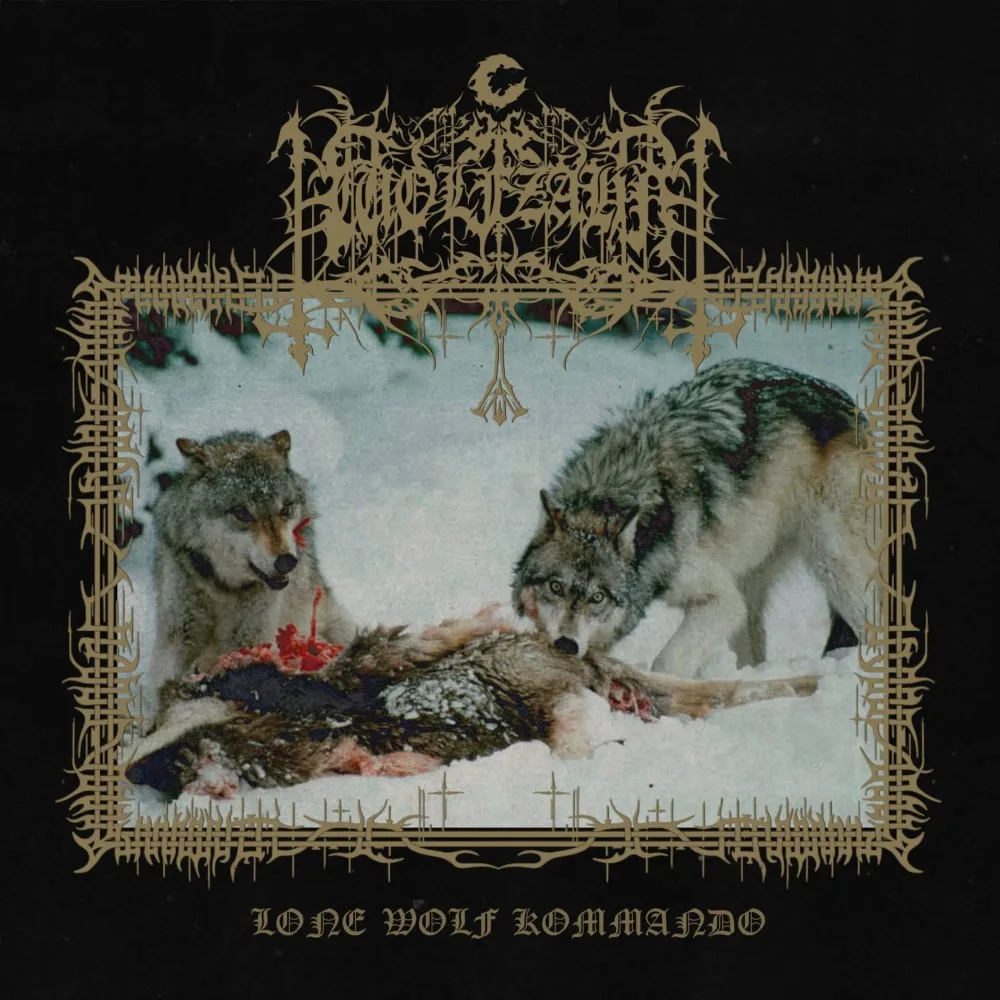 Lone Wolf Kommando cover