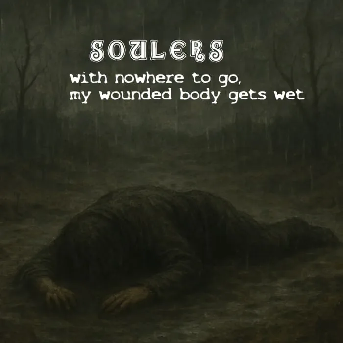 With Nowhere to Go, My Wounded Body Gets Wet cover