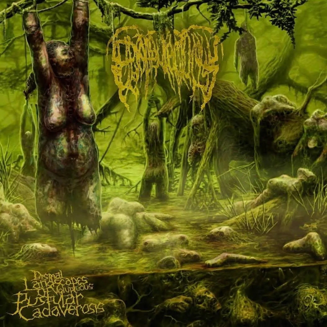Dismal Landscapes of Voluptuous Pustular Cadaverosis cover