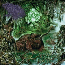 Consumed by Frogs cover