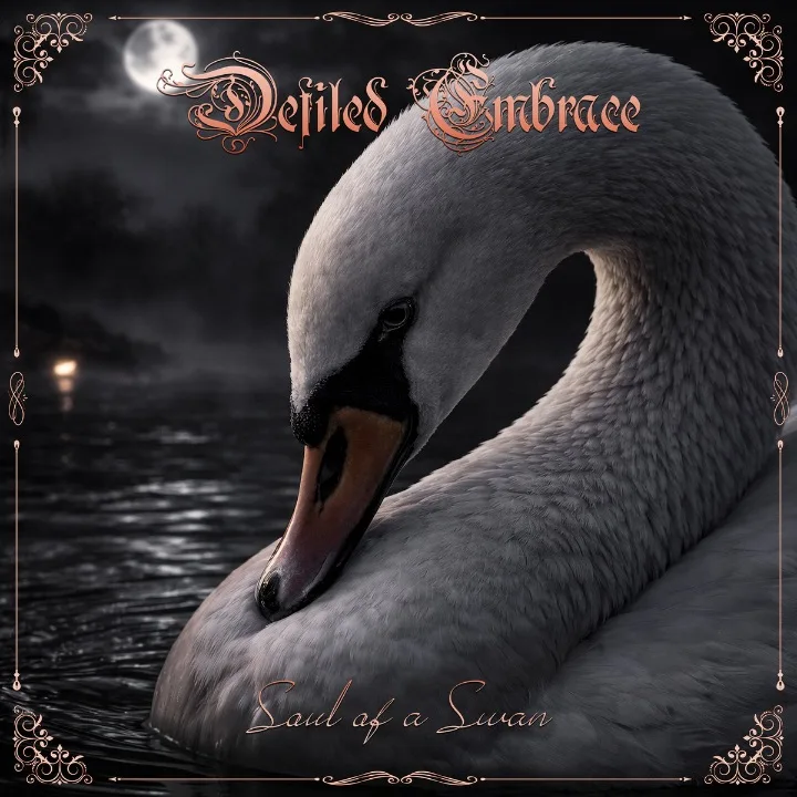 Soul of A Swan cover
