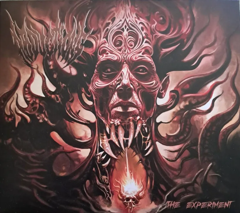 The Experiment cover