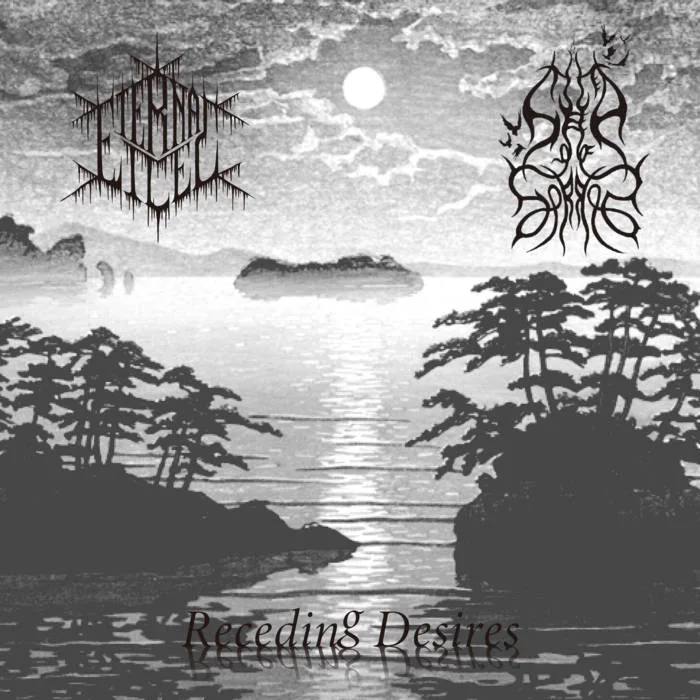 Receding Desires cover