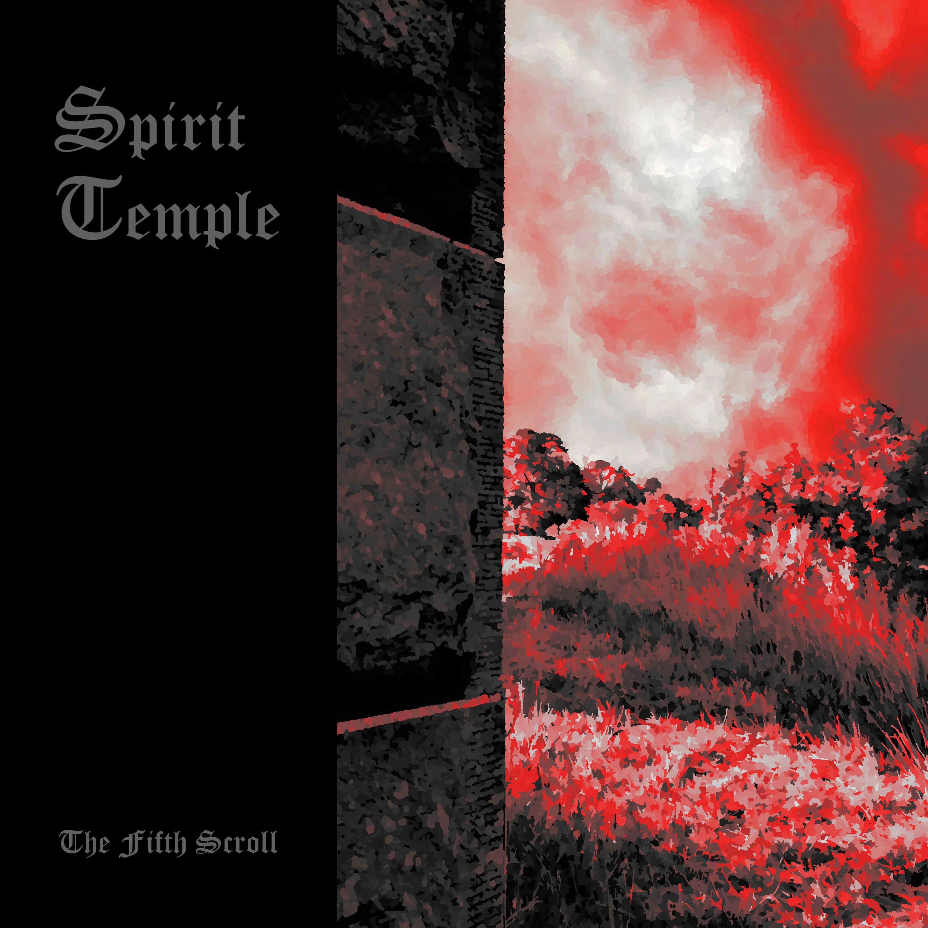The Fifth Scroll cover