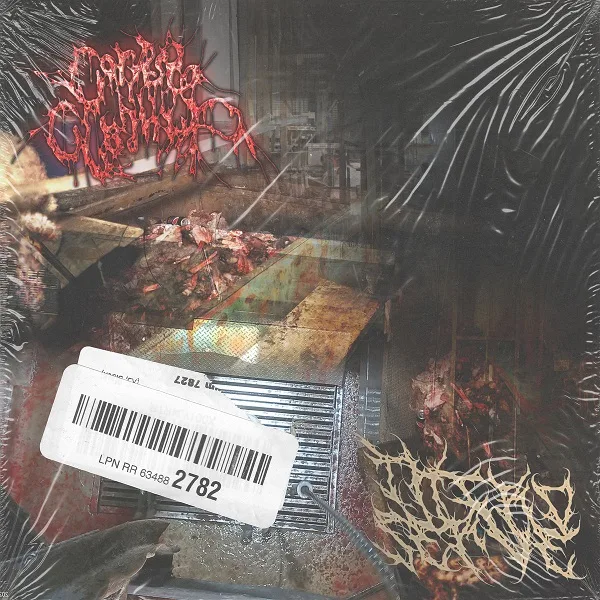 Third Serve cover