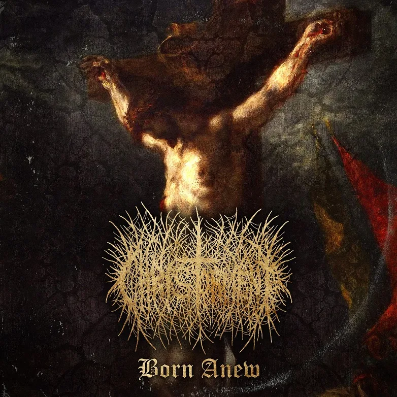 Born Anew cover