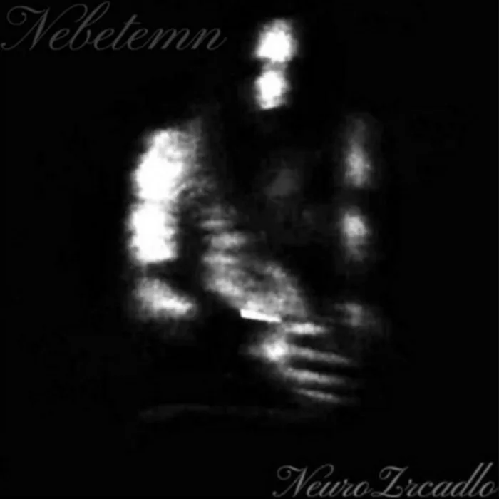 NeuroZrcadlo cover