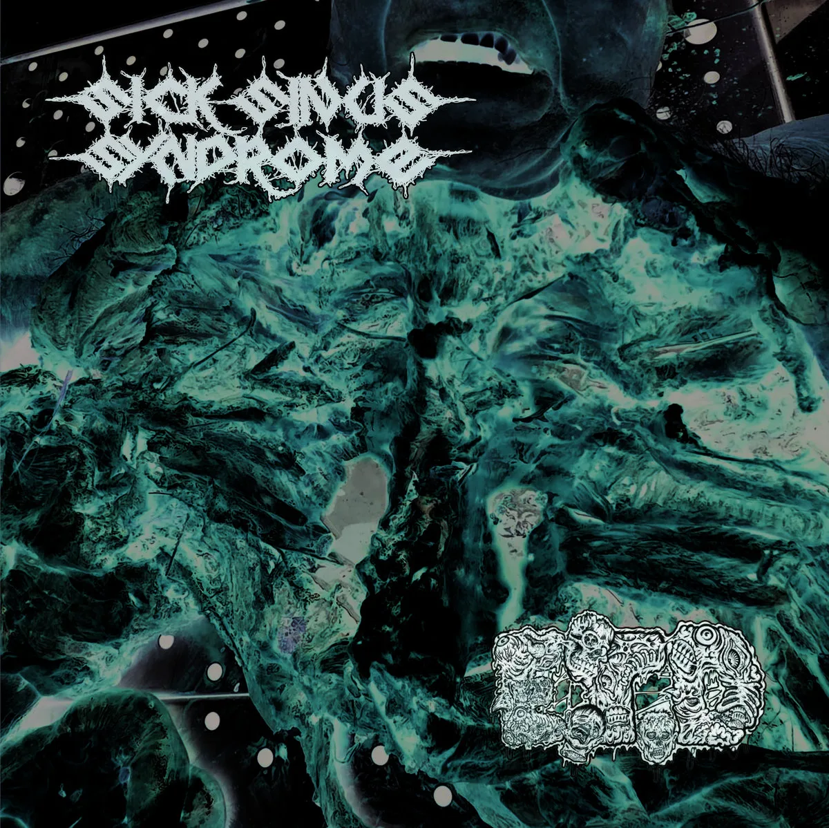 Sick Sinus Syndrome / Eat the Decay cover