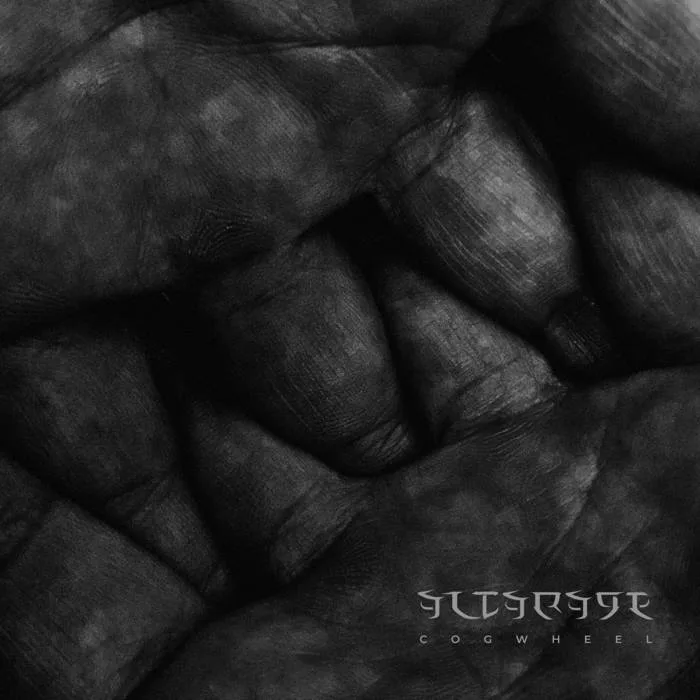 Cogwheel cover