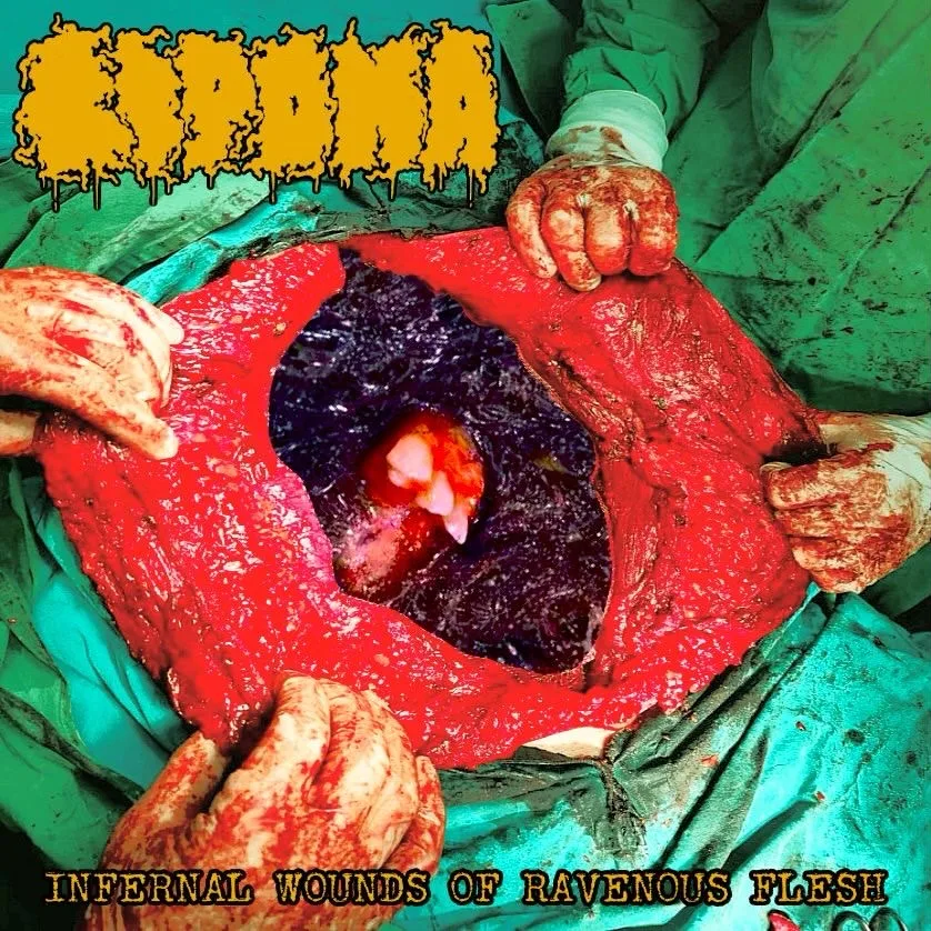 Infernal Wounds of Ravenous Flesh cover