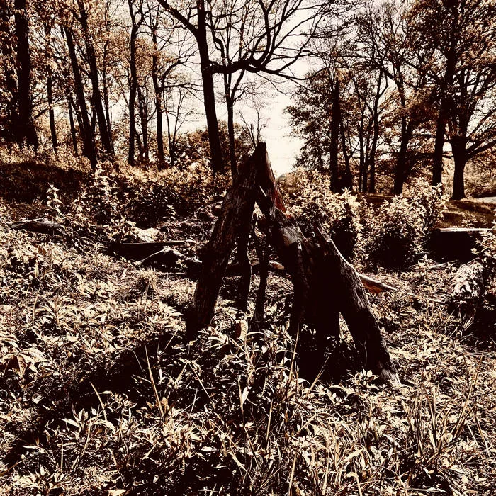 First Transmission EP cover
